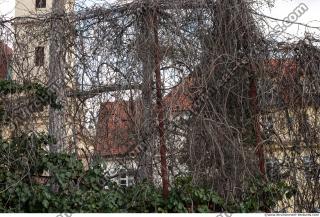 Photo Textures of Nature